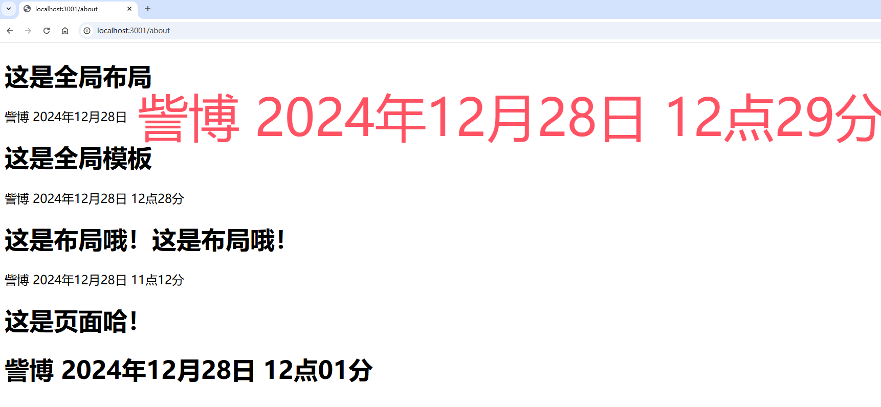 image-20241228123008449