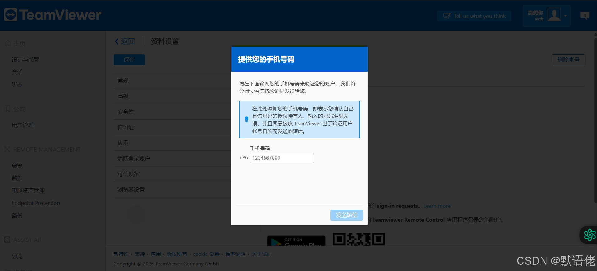 TeamViewer配置界面