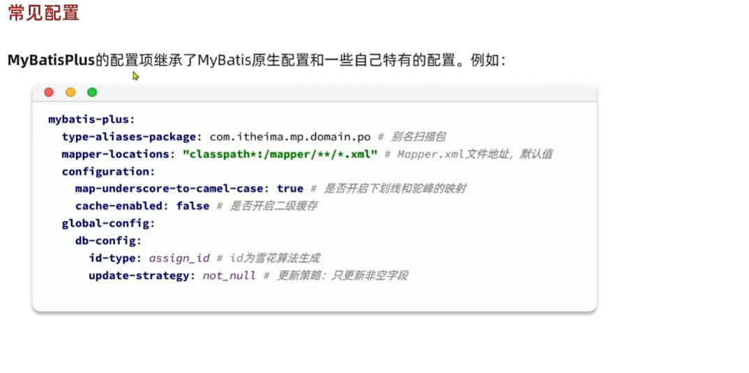 image-20240423164236156