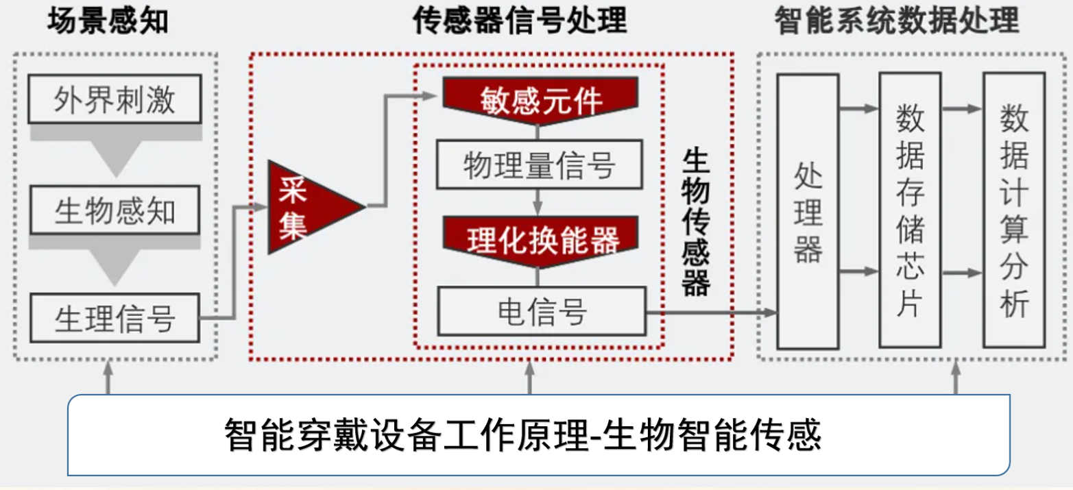 image-20250529215423324