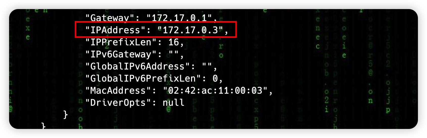 image-20220412231125930