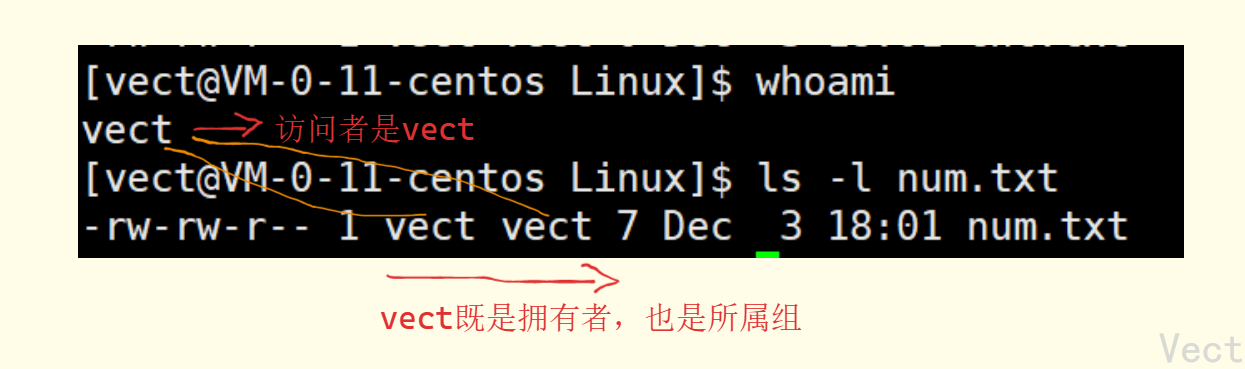 image-20251204111955959