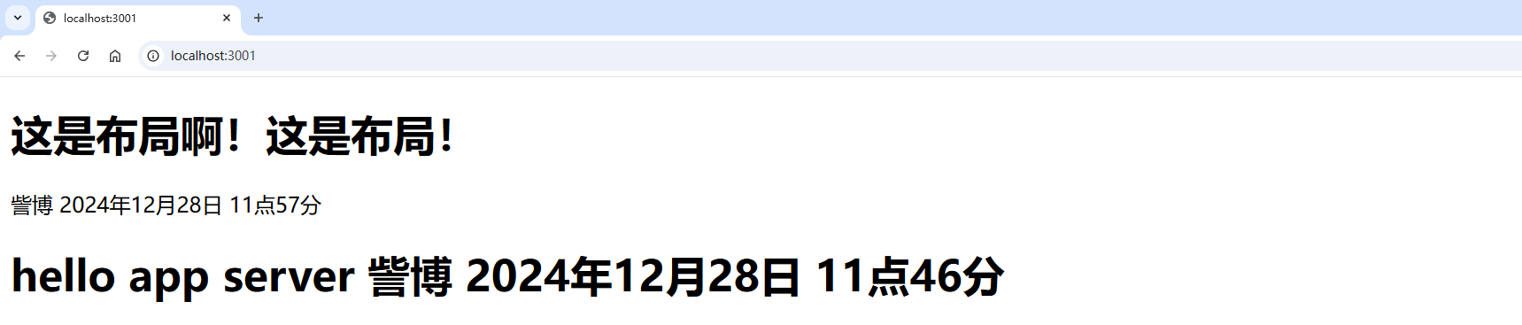 image-20241228115822369