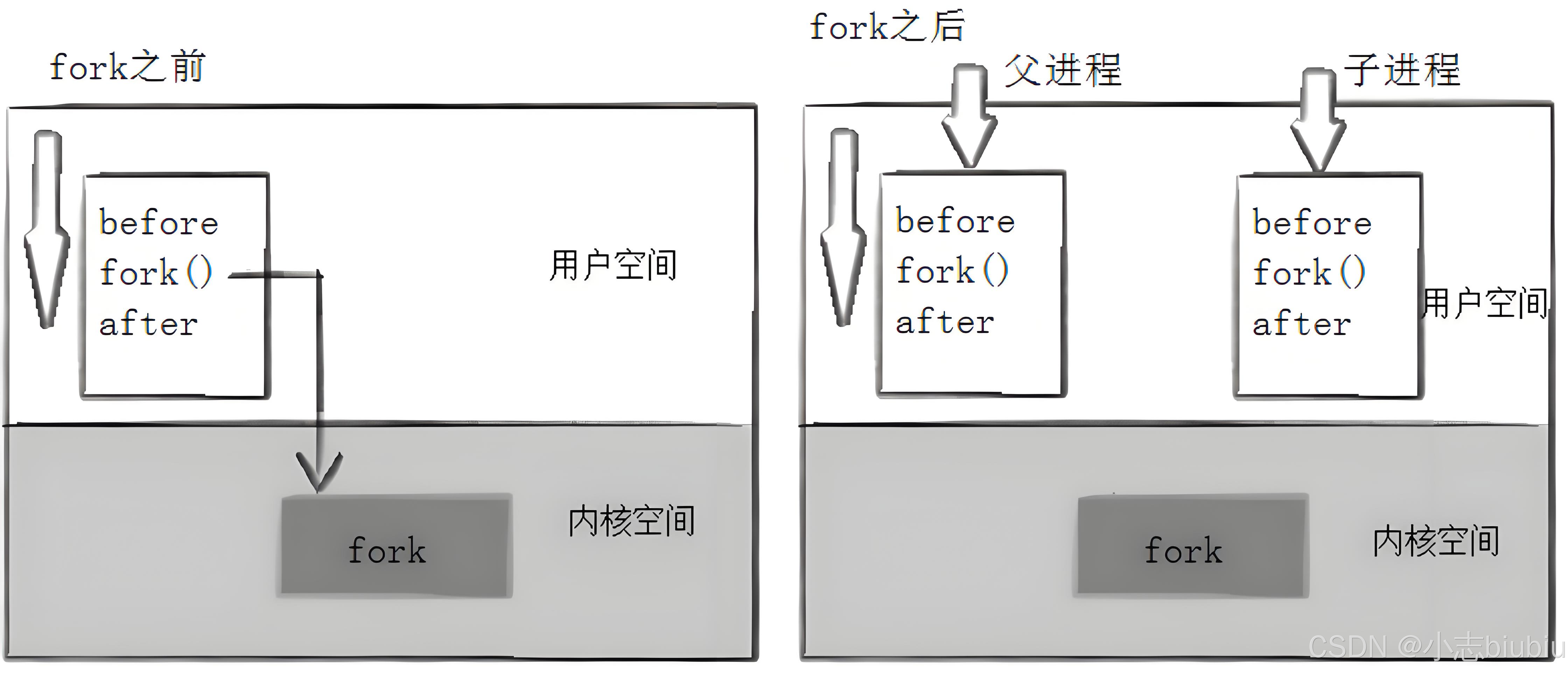【Linux】进程控制&实现自主shell