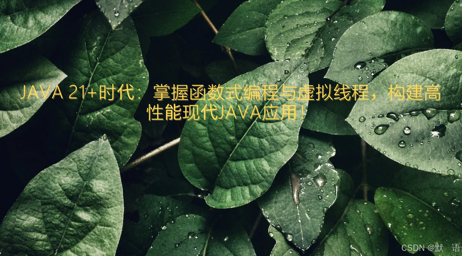 摘要