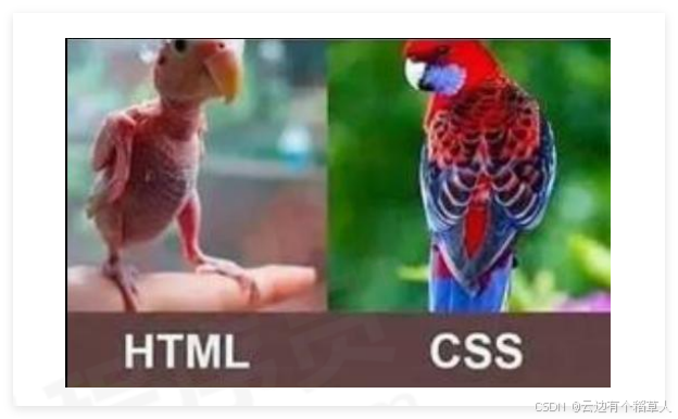 【Web前端技术】第四节—CSS（简介+基础选择器+字体/文本属性+引入方式+Chrome调试工具）