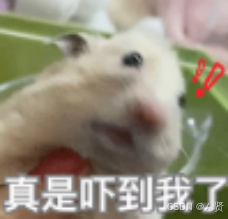 动态规划入门详解