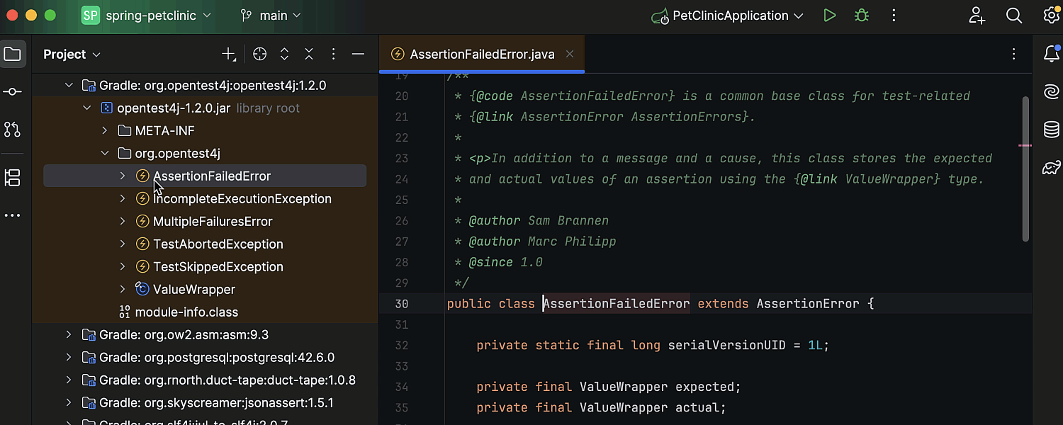 IntelliJ IDEA 2025.1 最新变化:值得更新，挺稳定，可正常免费体验，有问题文末名片回复2025