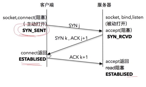image-20250228173614448