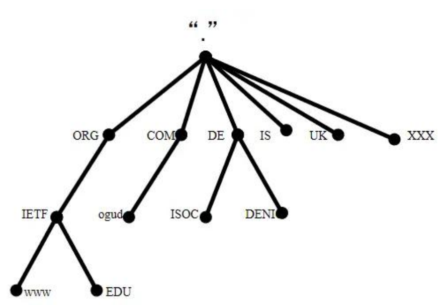 image-20250301151706477