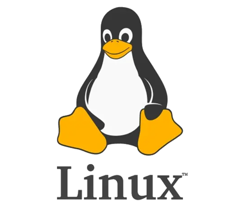 Linux(1)|入门的开始：Linux基本指令