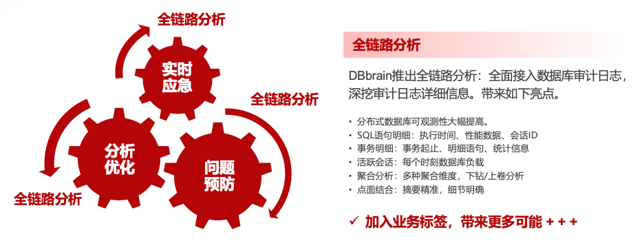 请在此添加图片描述