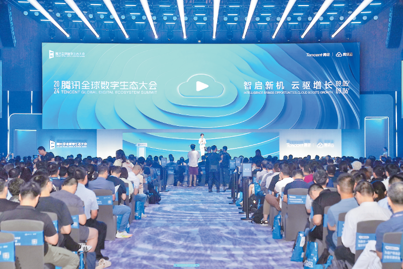 嘉年华观会-真实感受和见闻分享