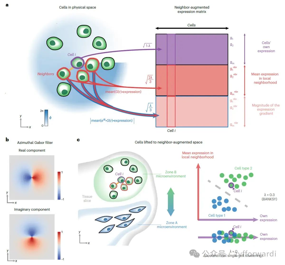 BANKSYs neighborhood-based feature augmentation strategy for clustering