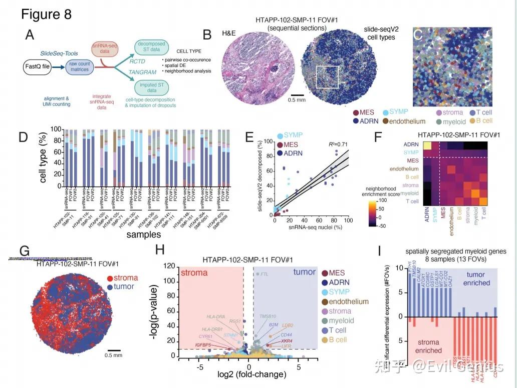High resolution spatial transcriptomics with Slide-SeqV2 demonstrates myeloid reprogramming within neuroblastoma
