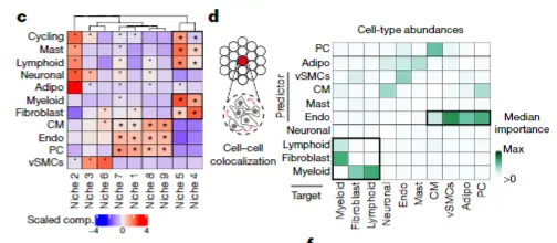 脚本优化--visium的细胞niche与共定位(R版本)