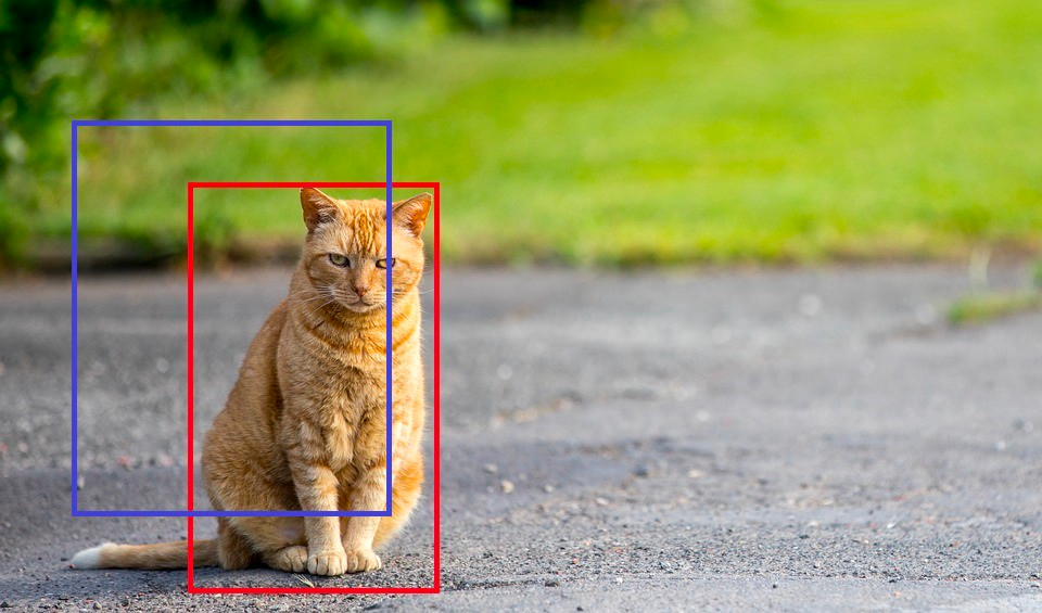 你实操了吗？YOLOv5 PyTorch 教程