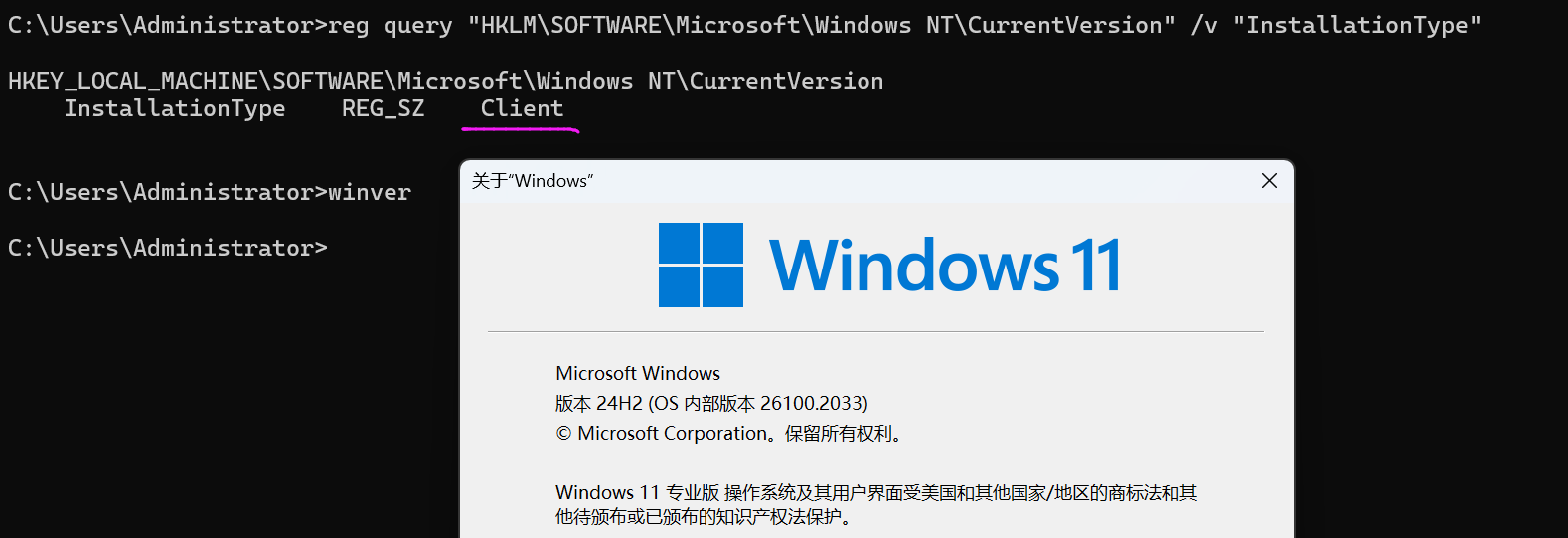 Win11 Httpserver 就地升级最新版Win11 24H2 Enterprise multi-session后,重装完某安全软件报系统不满足标准化条件-腾讯云开发者 ...