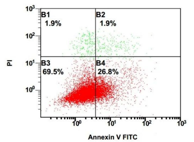 Annexin V-PI双染色实验结果示意图
