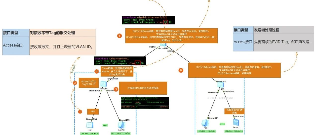 当一个数据帧在经过Access、trunk链路的时候分别经历了什么样的过程？