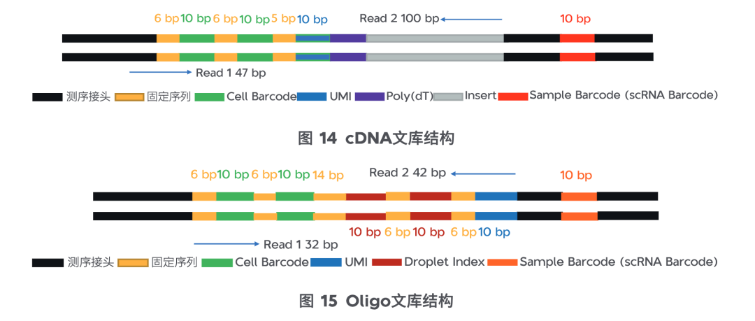 文库结构示意图