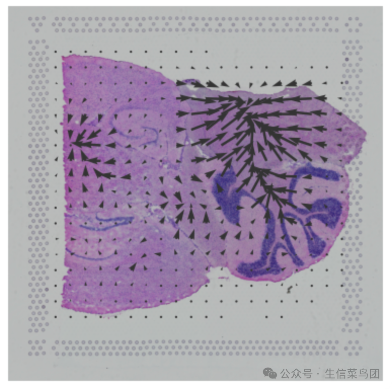 image-20250310221310119