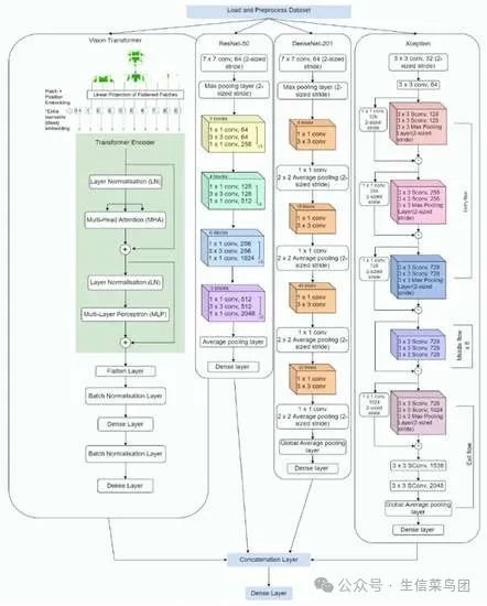 研究提出了Plant-CNN-ViT的集成模型，用于植物叶子分类。所提出的模型结合了四个预训练模型的功能，即 Vision Transformer、 ResNet-50 、 DenseNet-201 和 Xception。（https://www.mdpi.com/2223-7747/12/14/2642）