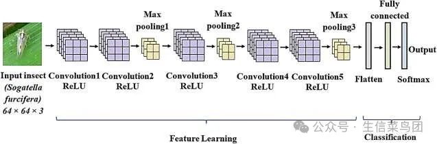 开发的CNN 模型包含五个卷积层和三个最大池化层、一个扁平层、一个全连接层和一个 softmax 输出层，用于对昆虫图像进行分类。（https://www.sciencedirect.com/science/article/pii/S2214317320302067）