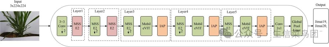 MssiapNet模型由MSSE2、IAP、MobileVit模块组成，MagcepNet结构如图所示，由5层结构组成，相比MobileVit-XS增加了注意力机制和多通道特征的融合。