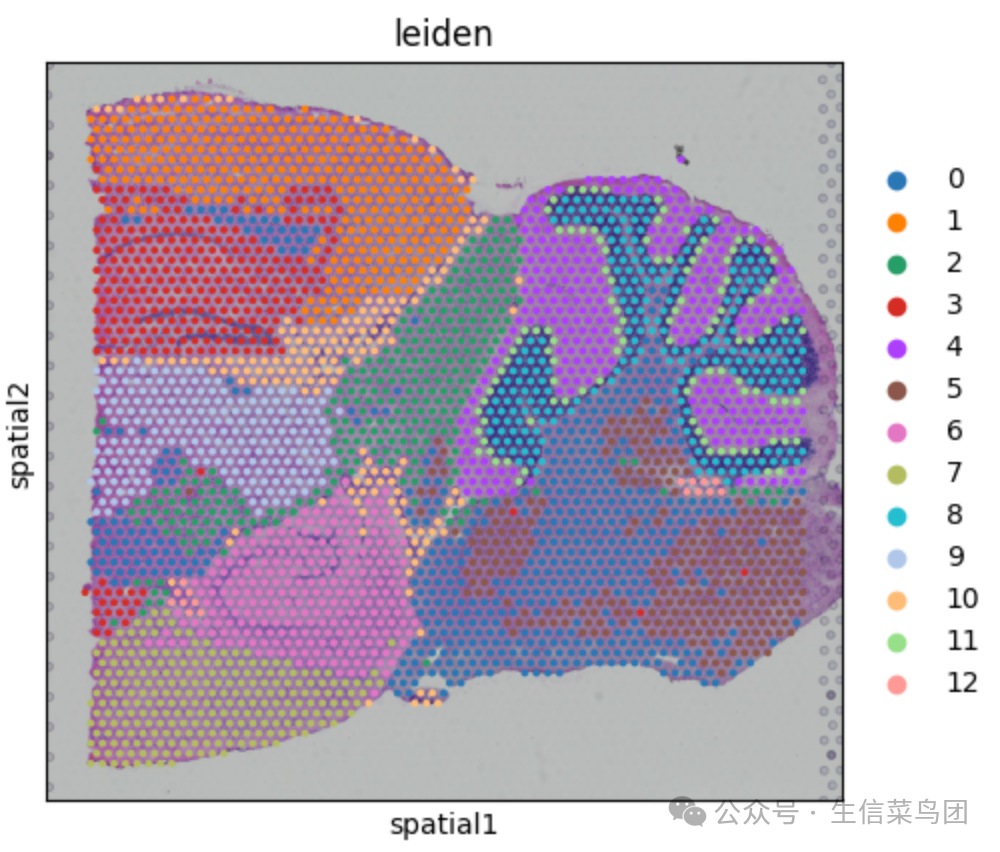 image-20250310221142588