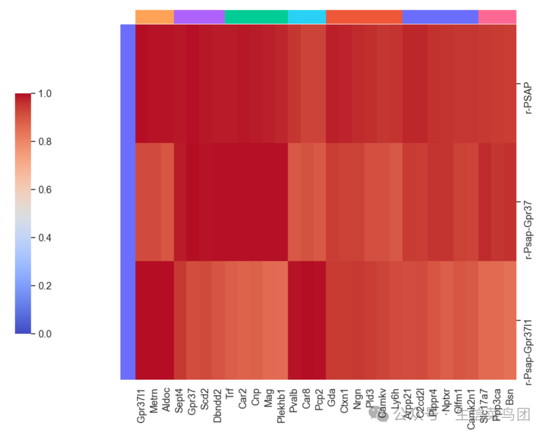 image-20250310221938600