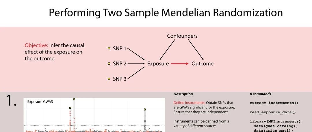 TwoSampleMR：孟德尔随机化一站式分析