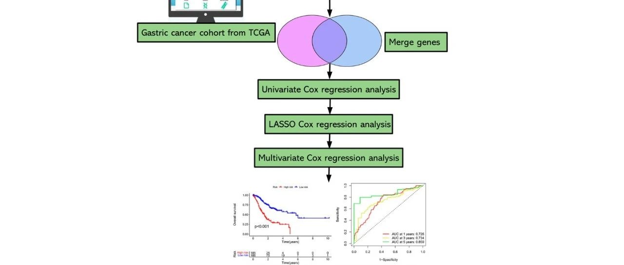 惊！竟然还能发：scRNA+bulk RNAseq筛选CD8+T细胞相关特征预测胃癌预后