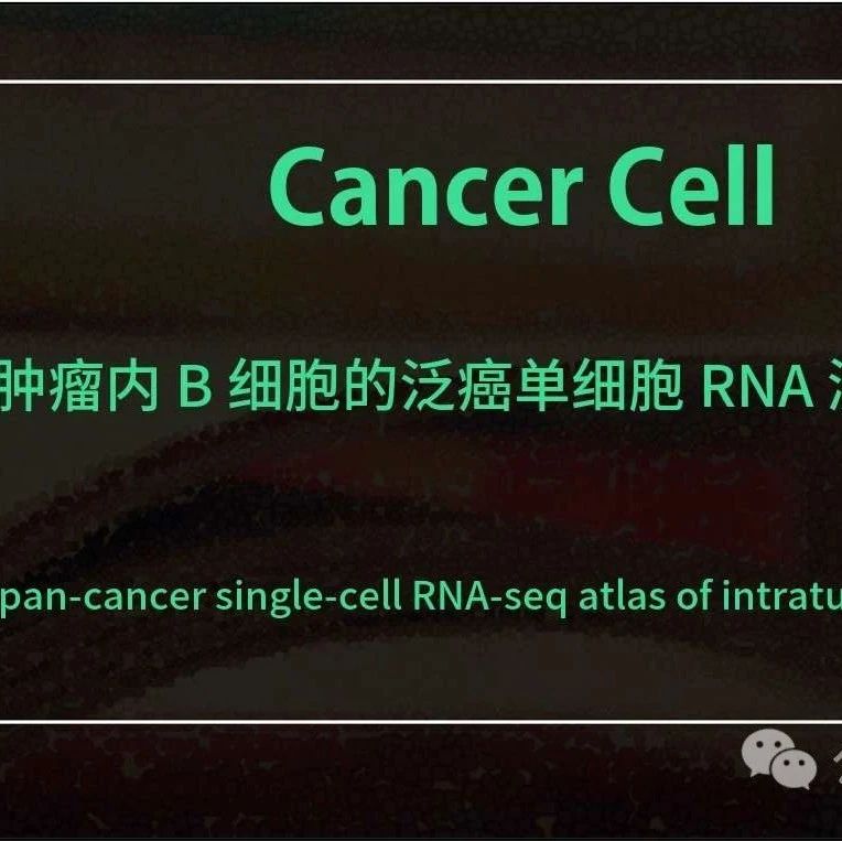 Cell 最新【细胞图谱】文章，提供网页工具辅助探索