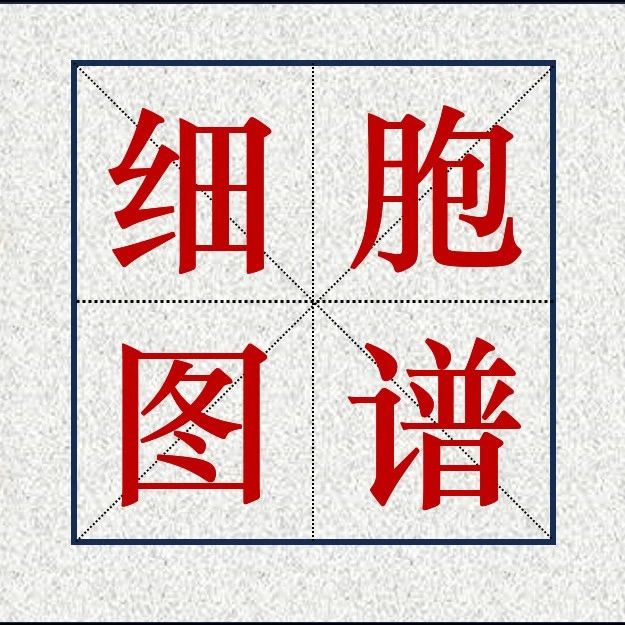 Nature | 单细胞CAR-T图谱揭示了8年白血病缓解中的2型功能