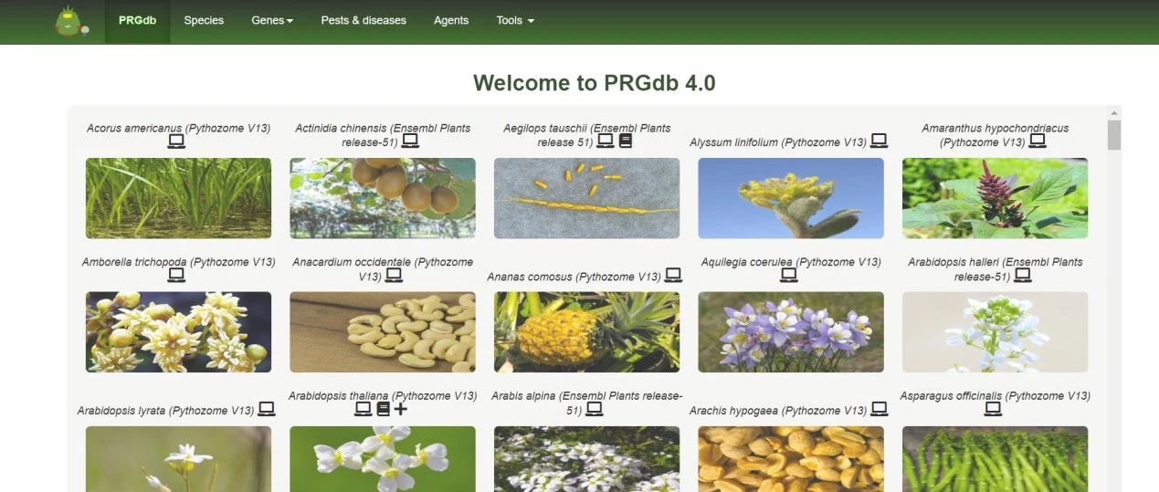 PRGdb：植物R基因数据库