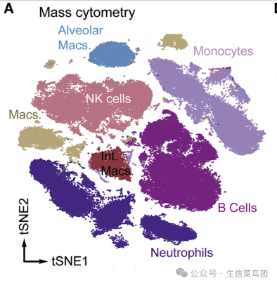 【flowjo】流式笔记:UMAP图可视化-腾讯云开发者社区-腾讯云
