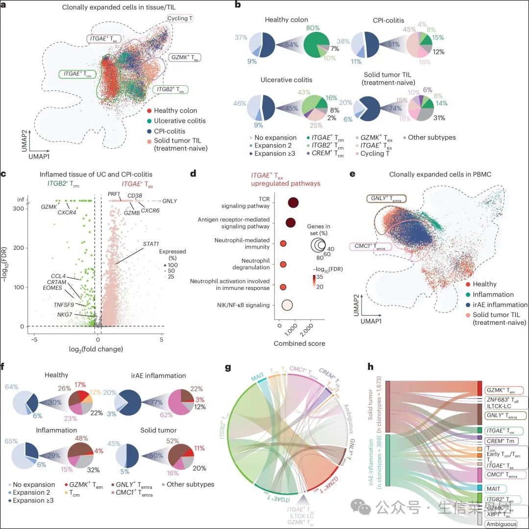 Fig__4__Association_of_CD8_+_T_cells_in_autoimmune_and_irAE_inflammation_