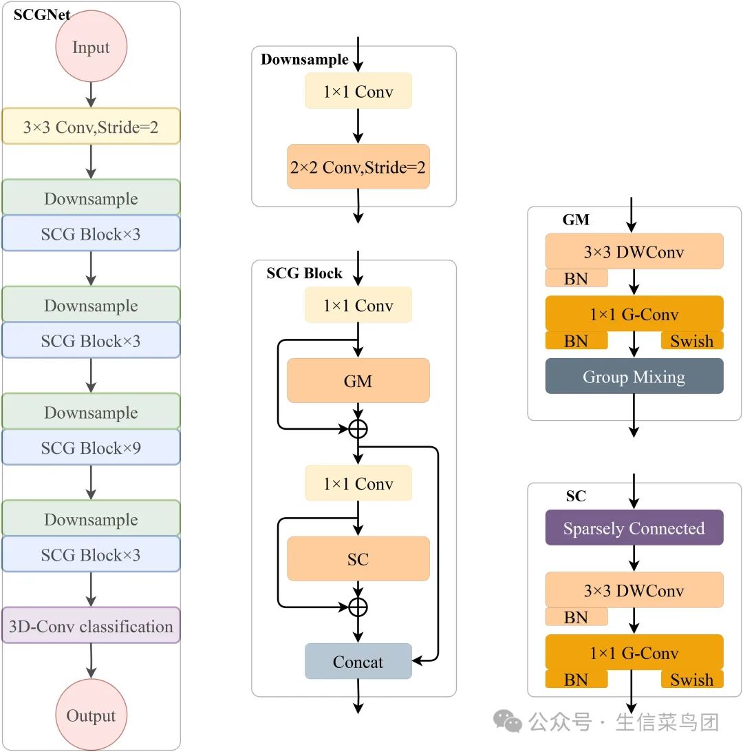 新提出的稀疏连接组卷积网络 (SCGNet)架构：左侧部分说明了 SCGNet 的整体结构，而中间部分则深入探讨了组成子模块，即 Downsample 层和 SCG 块。右侧部分进一步放大以揭示 SCG 块的子组件。SCGNet 是一个由各种元素组成的综合网络，包括传统卷积层、多个重复堆叠的 Downsample 层、SCG 块和 3-D 分类卷积层。这些组件的主要目的是捕获和处理输入图像数据的复杂特征。