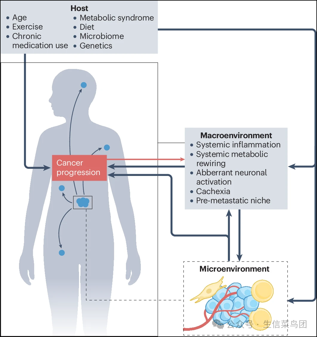 综述| 肿瘤与宿主之间的代谢互作塑造了肿瘤的大环境| Nat.Rev.Cancer-腾讯云开发者社区-腾讯云