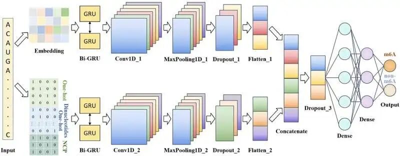 模型示例结构图