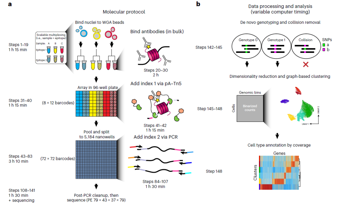 分享一个Steven Henikoff 课题组做出来的新技术—sciCUT&Tag腾讯云开发者社区腾讯云