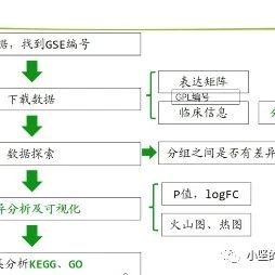 GEO数据介绍和分析流程