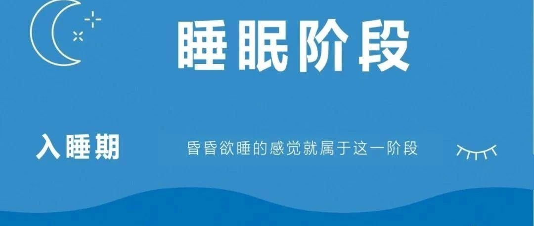 记忆、睡眠、情绪和大脑的关系：一场心灵的奥秘之旅