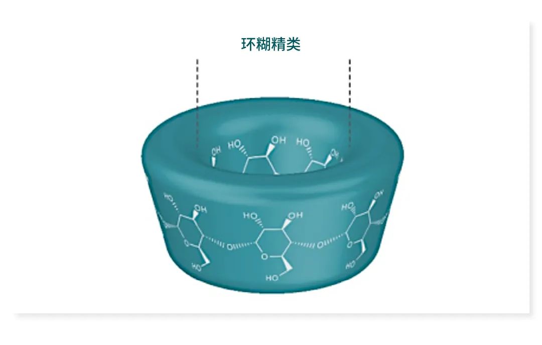 图 1. β-环糊精的三维结构[1]。