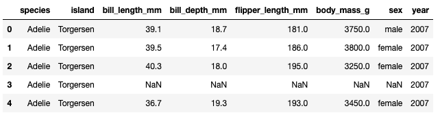 image-20240129174524839