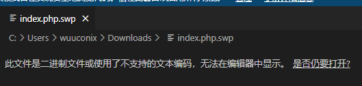 vscode无法打开