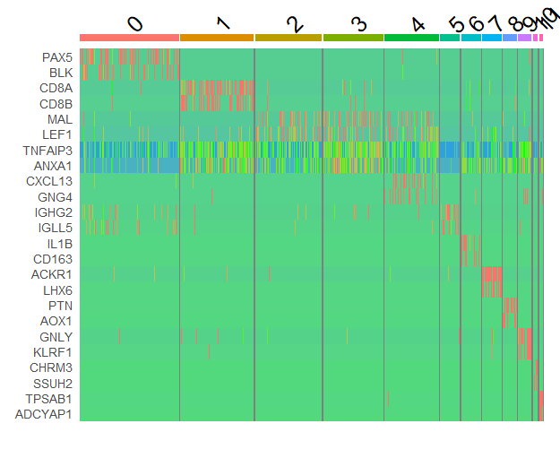热图的一行是一个基因，一列是一个细胞（按簇排列），红色代表高表达。
