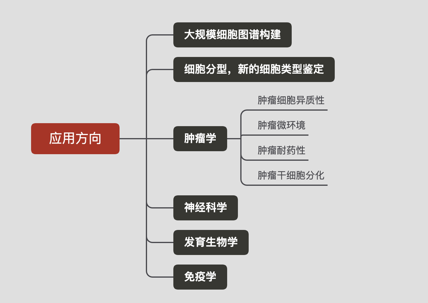 单细胞应用方向