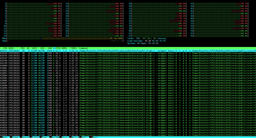 Linux||你的服务器怎么一片绿？